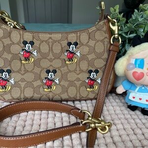 Coach Brown Interior Bag